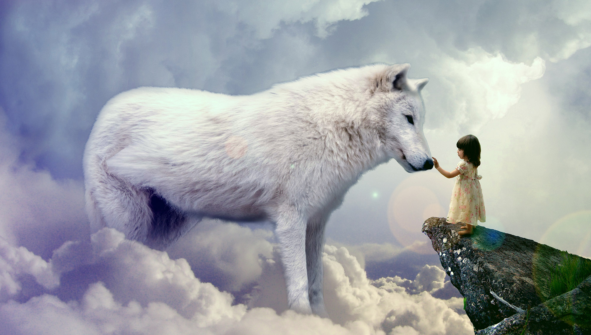 Friendly Wolf